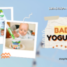 stonyfield baby yogurt